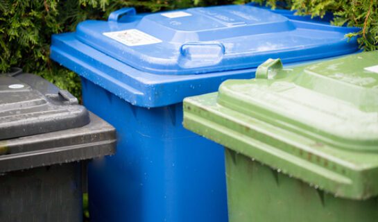 Umlagefähigkeit von Kosten für „Mülltonnenservice“ und Hof- und Zugangsreinigung